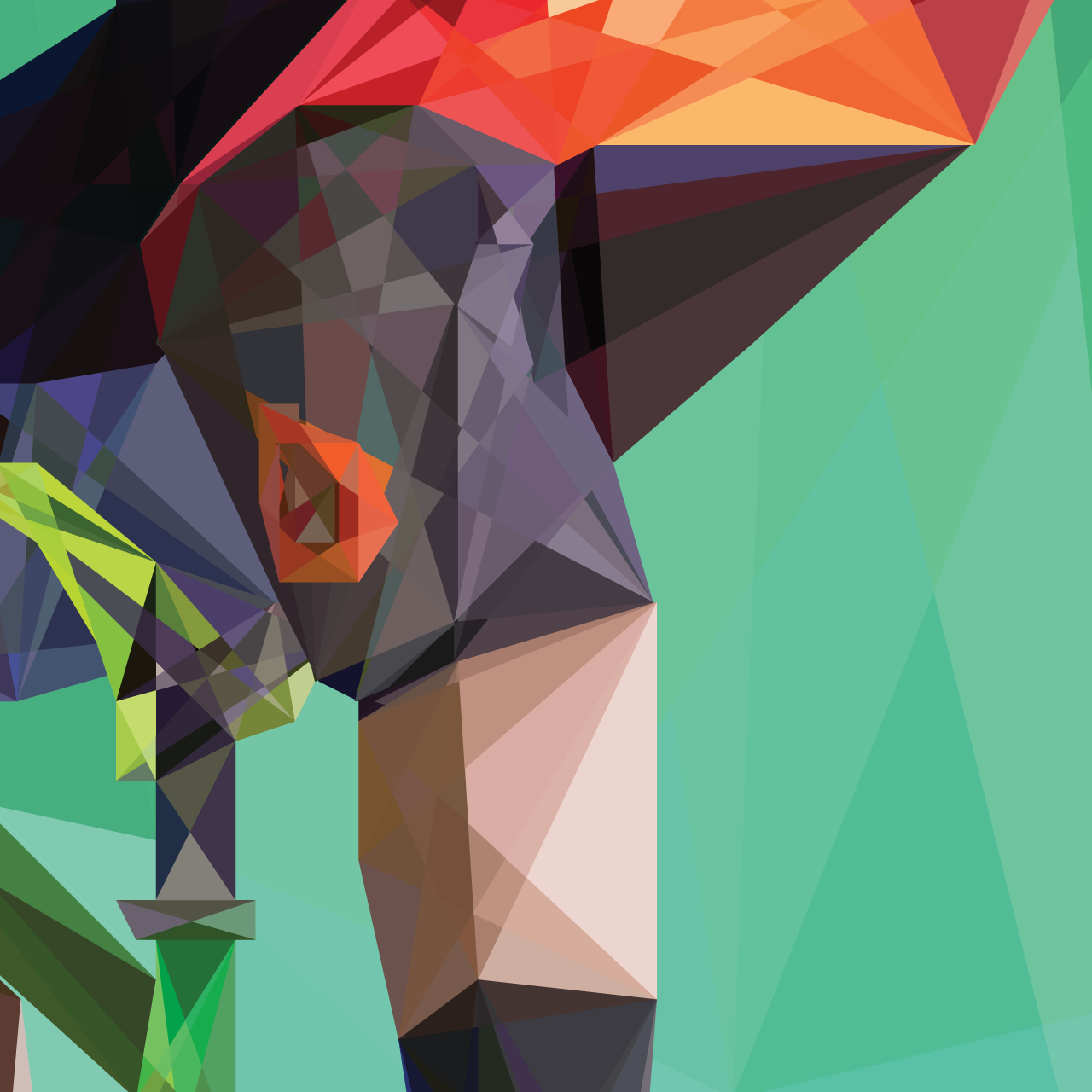 Hawk Status by Michael Barcellos